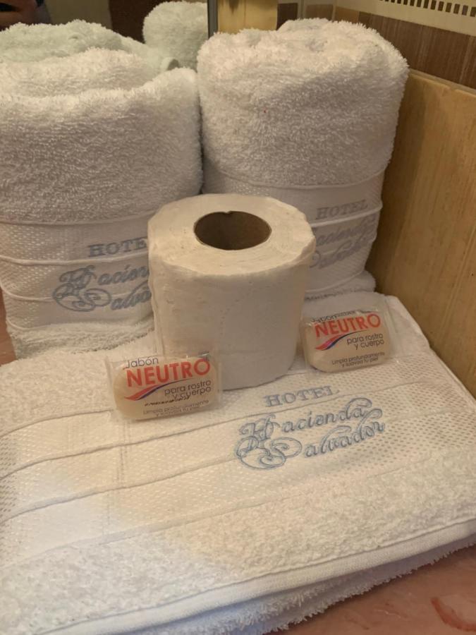 Hotel Hacienda Salvador San Juan de los Lagos Eksteriør bilde